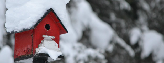 Snow covered bird house in a winter garden